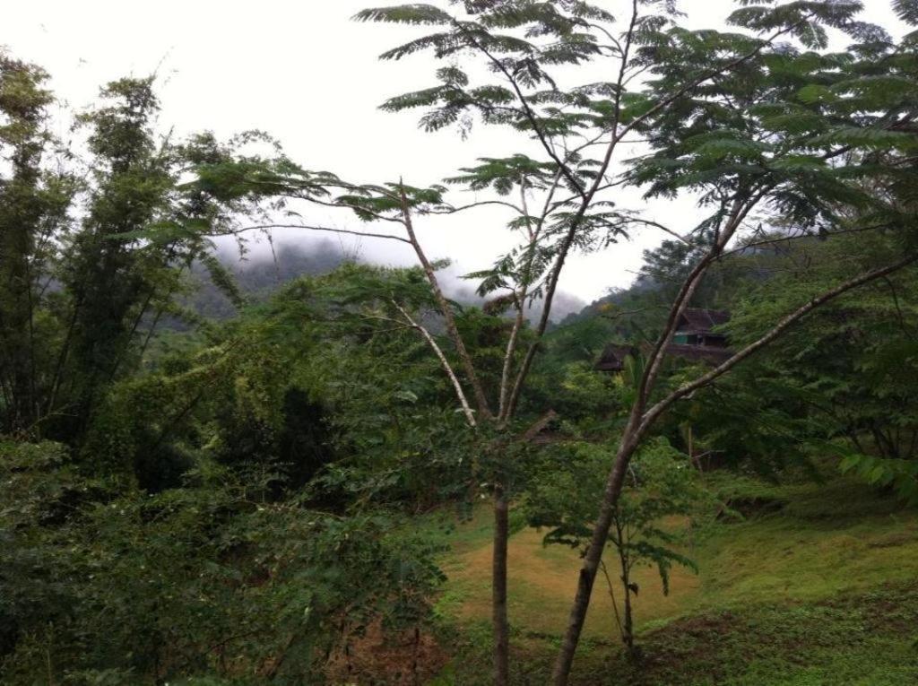 Chang Pai Garden (Adults Only) Екстериор снимка